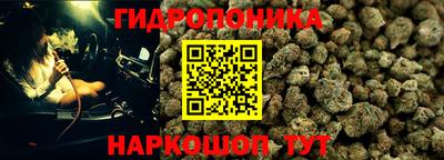 кокс Гусь-Хрустальный