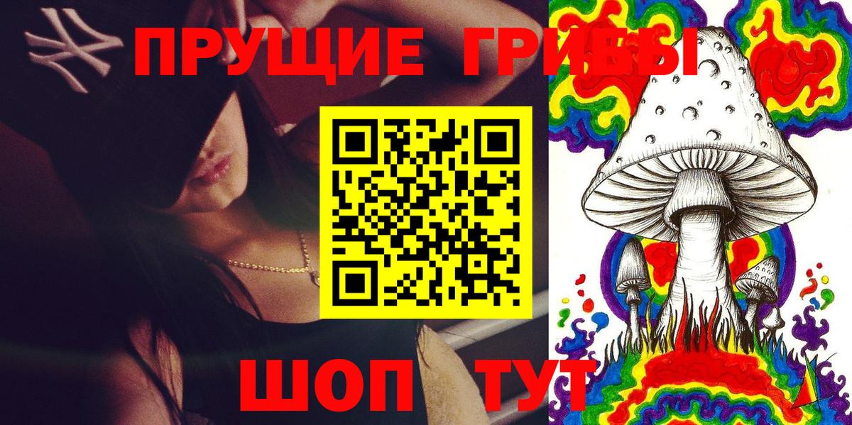 Галлюциногенные грибы GOLDEN TEACHER  Галлюциногенные грибы GOLDEN TEACHER  Вход с VPN  Минеральные Воды 